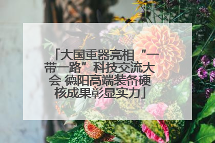 大国重器亮相“一带一路”科技交流大会 德阳高端装备硬核成果彰显实力