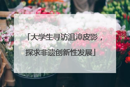 大学生寻访沮漳皮影，探求非遗创新性发展