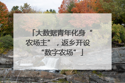 大数据青年化身“农场主”，返乡开设“数字农场”