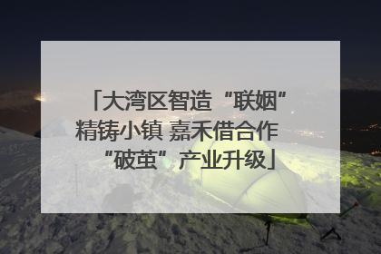 大湾区智造“联姻”精铸小镇 嘉禾借合作“破茧”产业升级