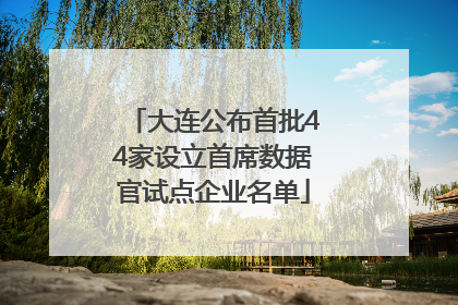 大连公布首批44家设立首席数据官试点企业名单