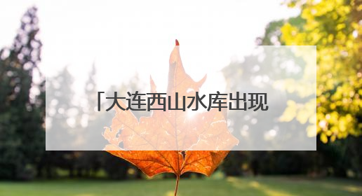 大连西山水库出现成群黑色大鱼，最长近一米！专家确认系外来物种埃及塘鲺