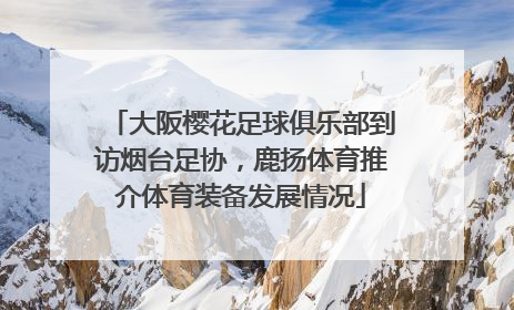 大阪樱花足球俱乐部到访烟台足协，鹿扬体育推介体育装备发展情况