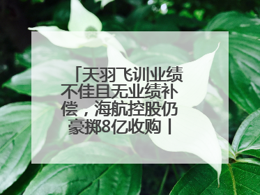 天羽飞训业绩不佳且无业绩补偿，海航控股仍豪掷8亿收购丨一周市场观察