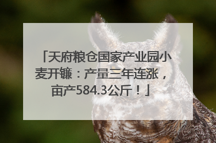 天府粮仓国家产业园小麦开镰：产量三年连涨，亩产584.3公斤！