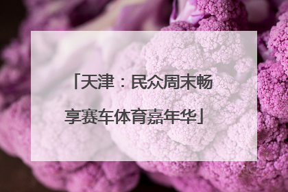 天津：民众周末畅享赛车体育嘉年华