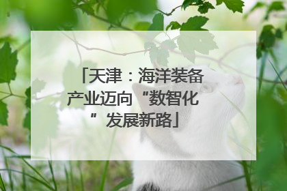 天津：海洋装备产业迈向“数智化”发展新路
