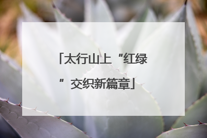 太行山上“红绿”交织新篇章