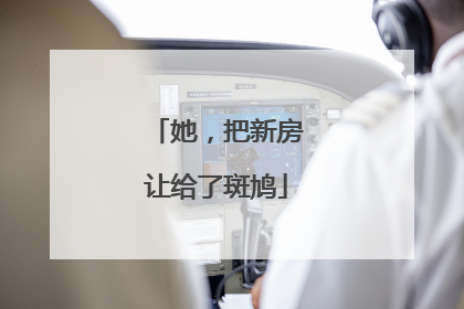 她，把新房让给了斑鸠