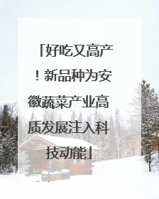 好吃又高产！新品种为安徽蔬菜产业高质发展注入科技动能