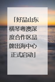 好品山东横琴粤澳深度合作区品牌出海中心正式启动