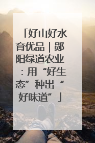 好山好水育优品｜郧阳绿道农业：用“好生态”种出“好味道”