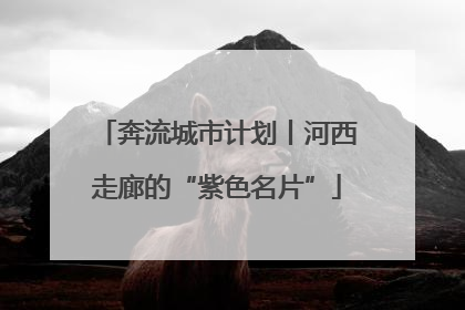 奔流城市计划丨河西走廊的“紫色名片”