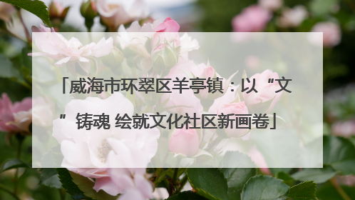 威海市环翠区羊亭镇：以“文”铸魂 绘就文化社区新画卷