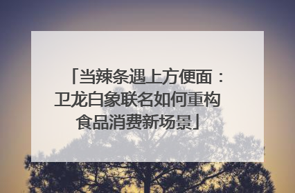 当辣条遇上方便面：卫龙白象联名如何重构食品消费新场景