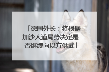 德国外长：将根据加沙人道局势决定是否继续向以方供武