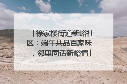 徐家楼街道新峪社区：端午共品百家味，邻里同话新峪情