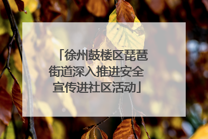 徐州鼓楼区琵琶街道深入推进安全宣传进社区活动