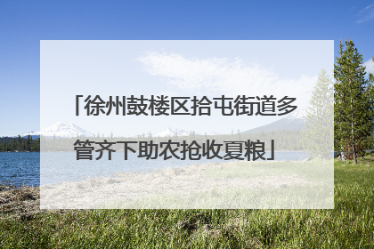 徐州鼓楼区拾屯街道多管齐下助农抢收夏粮