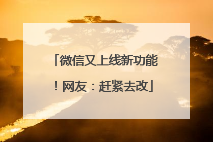 微信又上线新功能！网友：赶紧去改