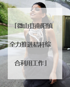 微山县南阳镇全力推进秸秆综合利用工作