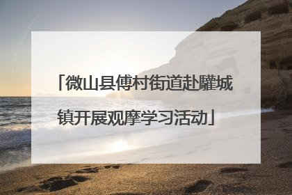 微山县傅村街道赴驩城镇开展观摩学习活动