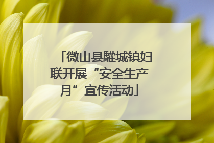 微山县驩城镇妇联开展“安全生产月”宣传活动