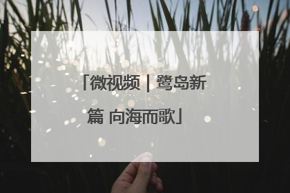 微视频｜鹭岛新篇 向海而歌
