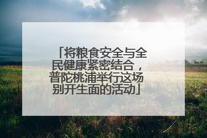 将粮食安全与全民健康紧密结合，普陀桃浦举行这场别开生面的活动