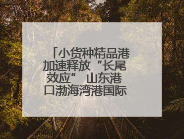 小货种精品港加速释放“长尾效应” 山东港口渤海湾港国际件杂货运业务
