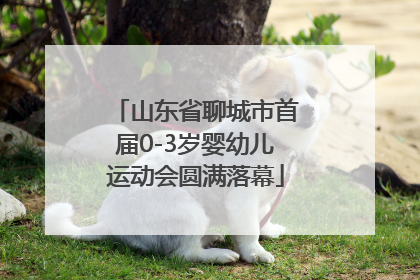 山东省聊城市首届0-3岁婴幼儿运动会圆满落幕