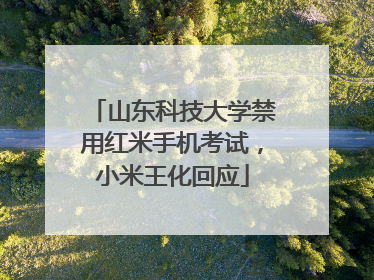 山东科技大学禁用红米手机考试，小米王化回应