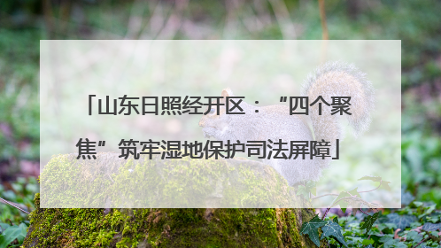 山东日照经开区：“四个聚焦”筑牢湿地保护司法屏障