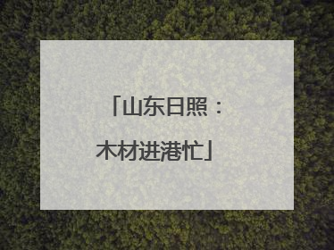 山东日照：木材进港忙