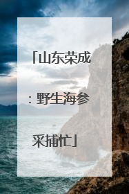 山东荣成：野生海参采捕忙