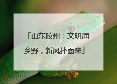 山东胶州：文明润乡野，新风扑面来