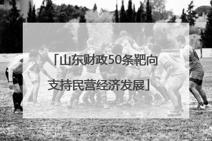 山东财政50条靶向支持民营经济发展