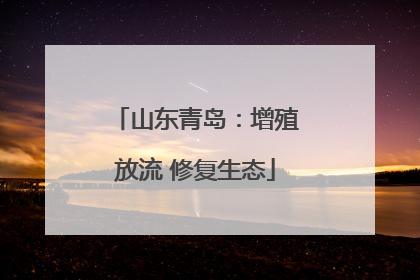 山东青岛：增殖放流 修复生态