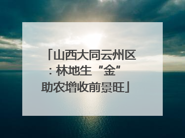 山西大同云州区：林地生“金” 助农增收前景旺