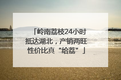 岭南荔枝24小时抵达湖北，产销两旺性价比真“给荔”