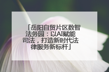 岳阳自贸片区数智法务园：以AI赋能司法，打造新时代法律服务新标杆