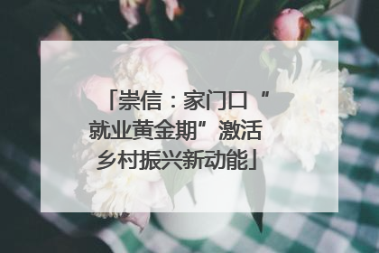 崇信：家门口“就业黄金期”激活乡村振兴新动能