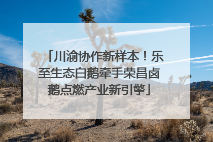 川渝协作新样本！乐至生态白鹅牵手荣昌卤鹅点燃产业新引擎
