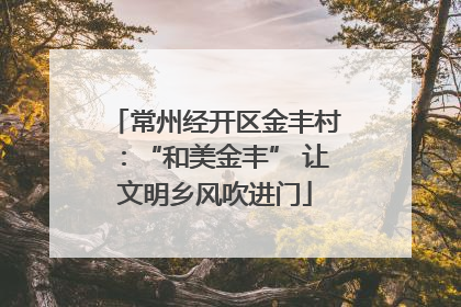 常州经开区金丰村：“和美金丰” 让文明乡风吹进门