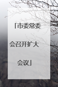 市委常委会召开扩大会议