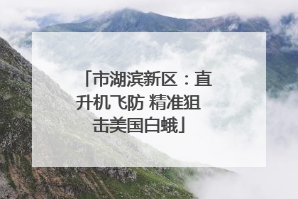 市湖滨新区：直升机飞防 精准狙击美国白蛾