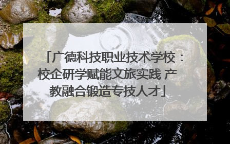 广德科技职业技术学校：校企研学赋能文旅实践 产教融合锻造专技人才