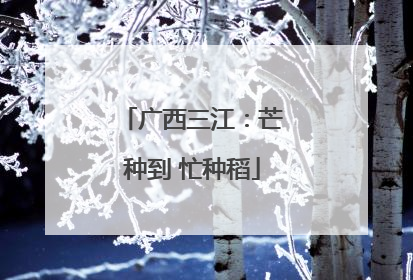广西三江：芒种到 忙种稻