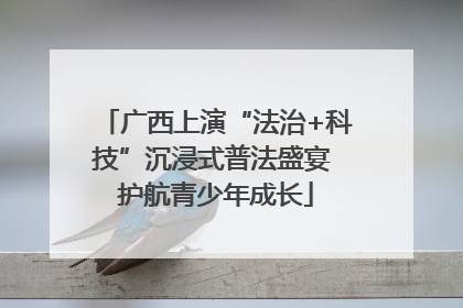 广西上演“法治+科技”沉浸式普法盛宴 护航青少年成长