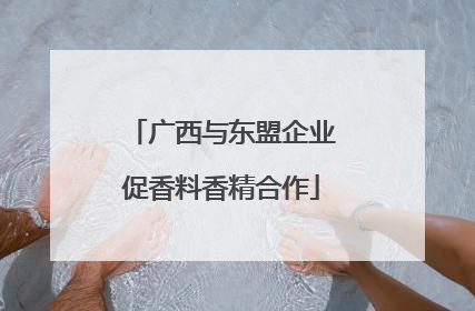 广西与东盟企业促香料香精合作